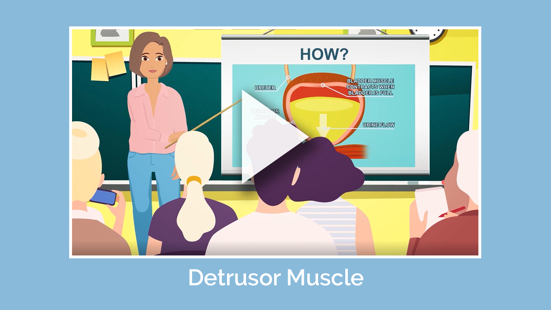 Detrusor Muscle Animation Video